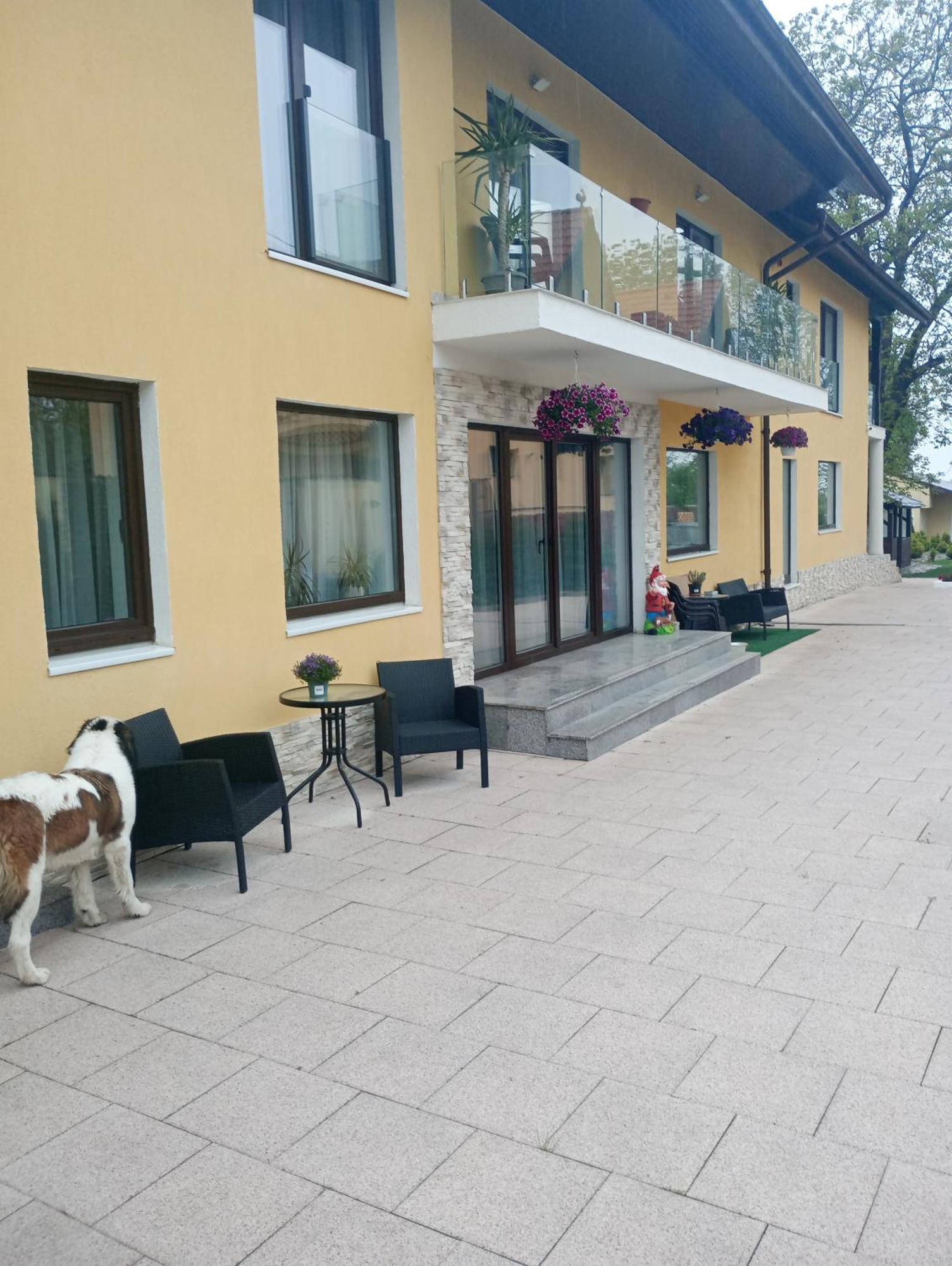 Izabella Guest House ซาเชเล ภายนอก รูปภาพ